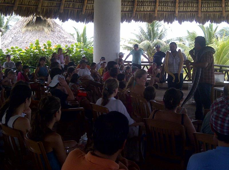 Show De Animales Exoticos 